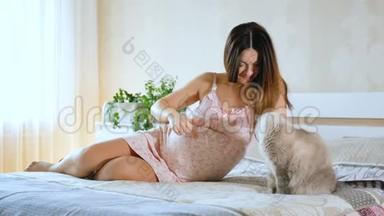 孕妇与猫躺在床上，显示她的位置。 女孩抚摸着她圆圆的肚子。 孕妇附近的宠物